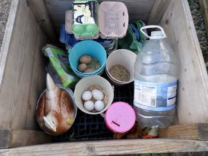 Collected eggs can be bought by garden members