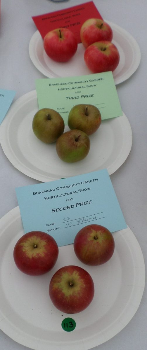 23 - 3 Eatling apples