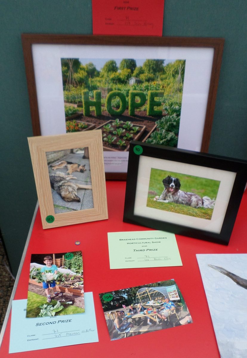 71 - Photograph - Enjoying The Garden