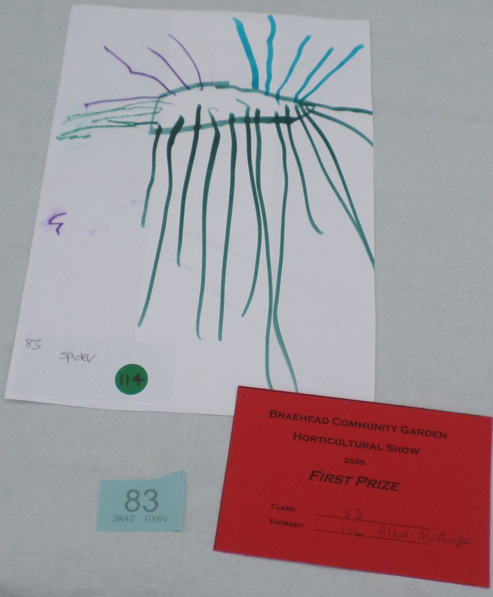 83 - 5 and under - creepy crawly drawing