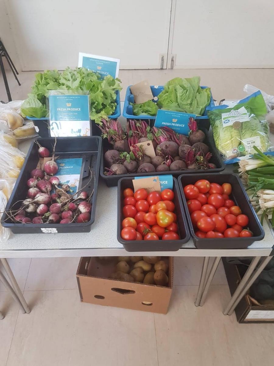 A great display of some of the fresh, local produce grown at Braehead Community Garden