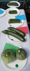01 - 2 Courgettes