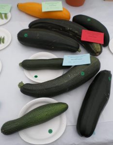02 - Heaviest Courgette, Marrow or Squash