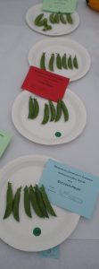03 - 6 pods of peas, mange-touts, or sugar snap peas