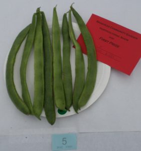 05 - 8 Pods of runner breans