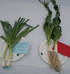 06 - 2 leeks