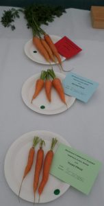 10 - 3 carrots (long variety)