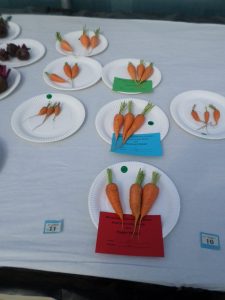10 and 11 - 3 carrots
