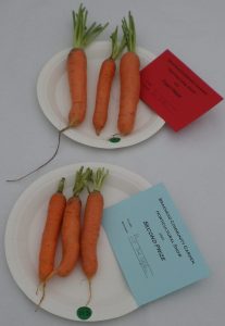 11 - 3 carrots (stump variety