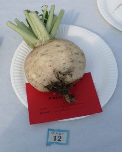 12 - 1 swede or turnip