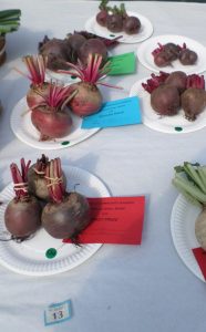13 - 3 beetroot
