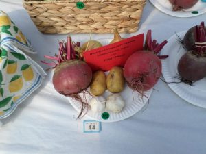 14 - Collection of root vegetables