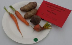 14 - Collection of root vegetables