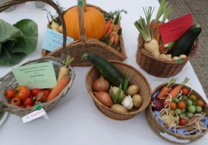 15 - Basket of veg suitable for soup