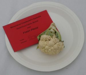 17 - 1 cauliflower