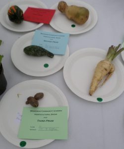 21 - Ugliest vegetable