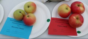 23 - 3 Eating Apples