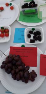 27 - Plate of any other kind of edible berries