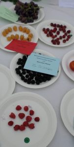 27 - Plate of edible berries