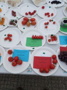 28 - 5 red tomatoes
