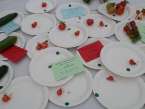 31 - Tastiest tomato