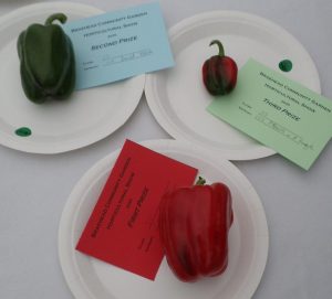 33 - 1 Sweet Pepper