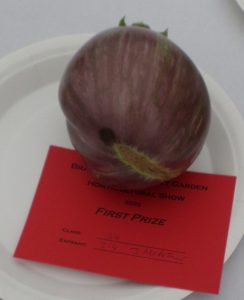 34 - 1 Aubergine