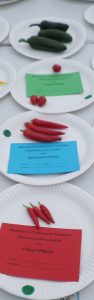 36 - 3 classic clhilli peppers