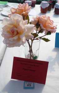 45 - 3 stems of Roses