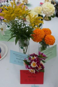 49 - 3 stems of any other cut flower