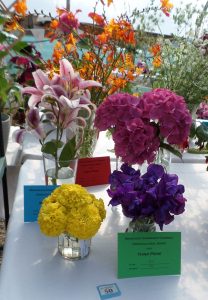 50 - 1 vase of flowers - same variety