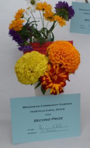 51 - 1 vase of mixed annuals