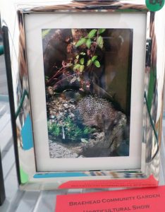 72 - Painting - Nature1