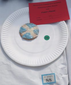 88 - 6-10 - 1 Decorated Ice Biscuit