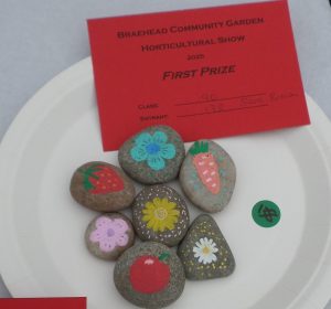 90 - 11-16 Painted Stone
