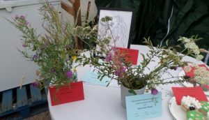 92 - 11-16 - Arrangement of Wild Flowers