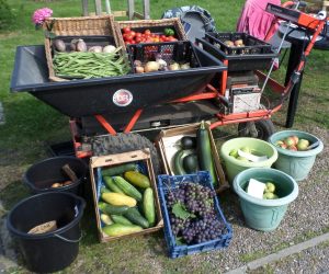 Fresh produce for sale