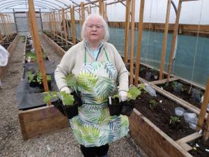 Anne with some cucumber plants
